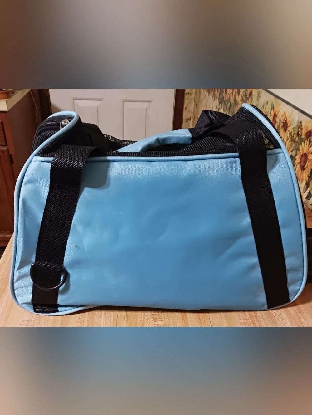 Black and Light Blue Soft-Sided Cat Carrier with Mesh Panels